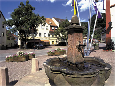 Historischer Brunnen in Schönau